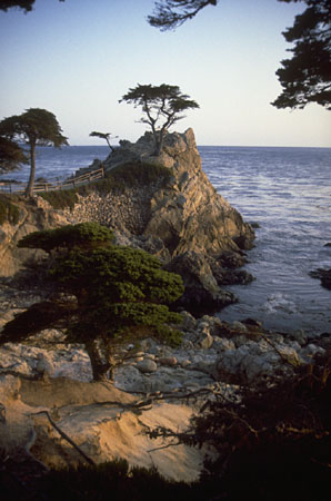 PH01317J.JPG (43727 bytes)