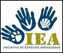 iea