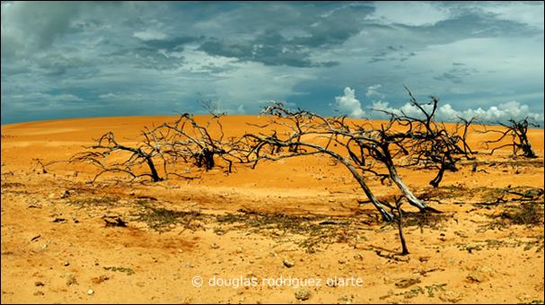 Paraguana_Final_2