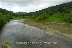 Aroa Crucito 2005